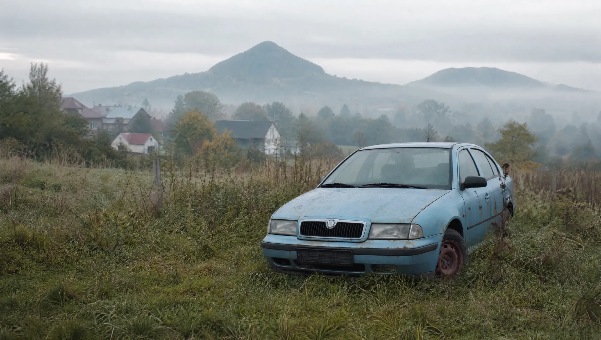 Likvidace vozidel Telnice – ilustrační foto: opuštěná modrá Škoda Octavia v zarostlé louce v ranní mlze